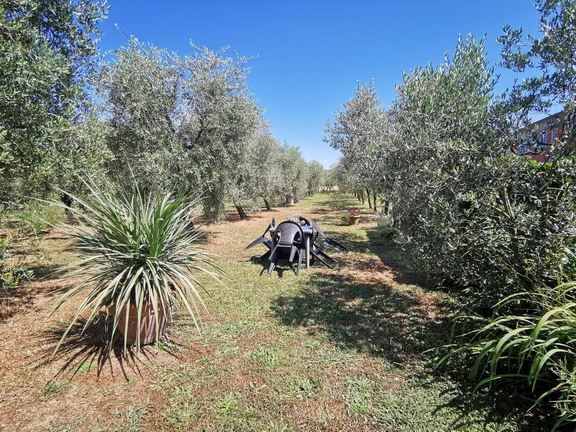 La Casa Dei Nonni Villa Larciano Bagian luar foto