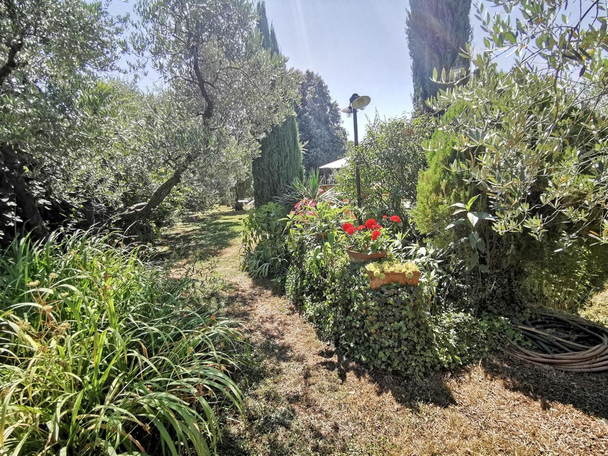 La Casa Dei Nonni Villa Larciano Bagian luar foto