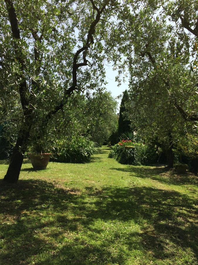 La Casa Dei Nonni Villa Larciano Bagian luar foto